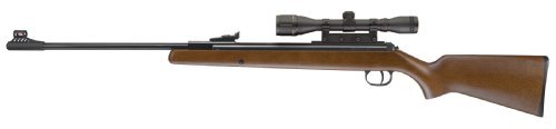 RWS 0.22 pellet model 34