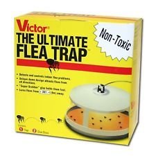 Victor flea trap