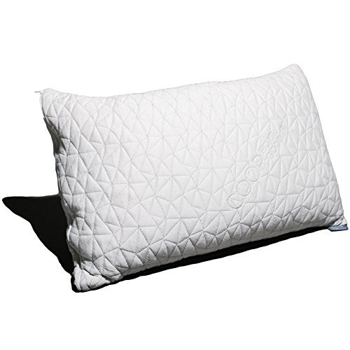 Coop home goods pillow