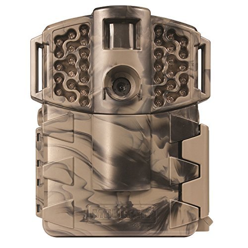 camouflage trail camera