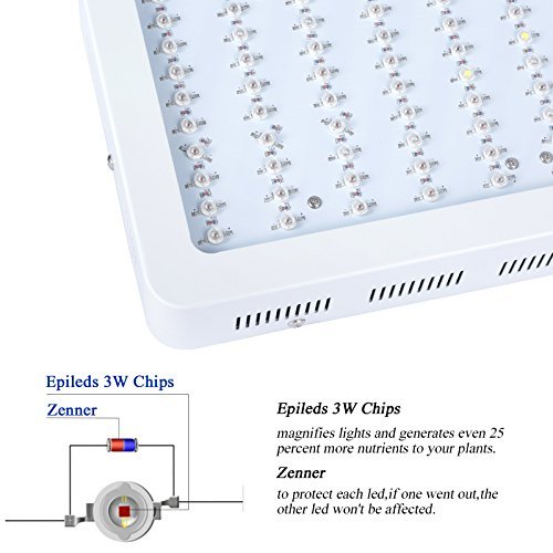 LED light