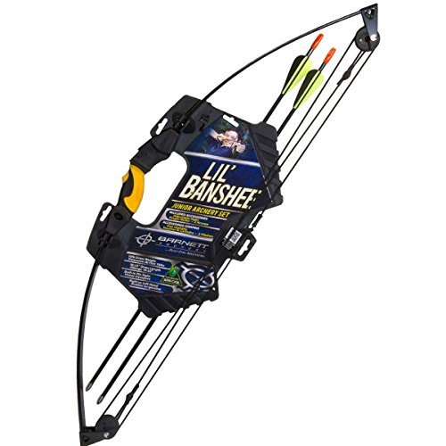 Best Compound Bows reviews