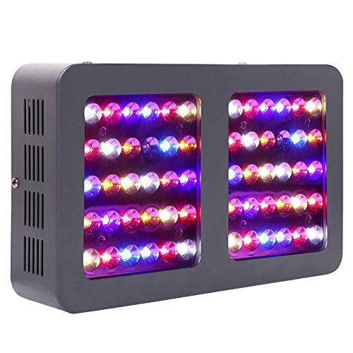 King led grow light