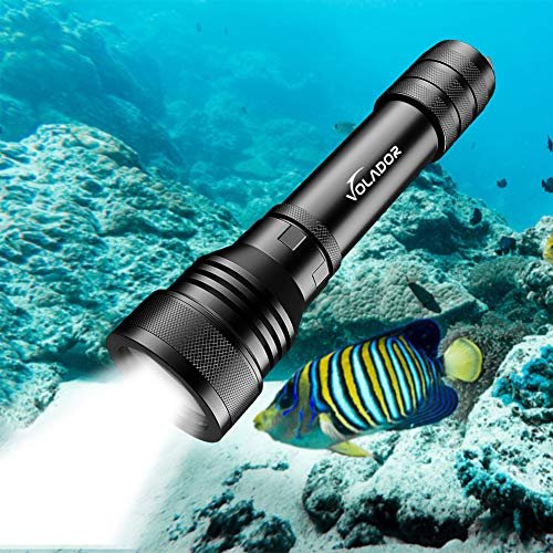 Best led mini flashlights Reviews