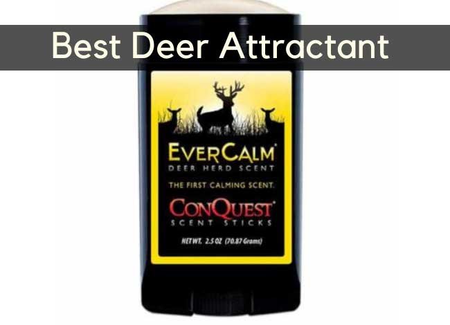 Best Deer Attractant