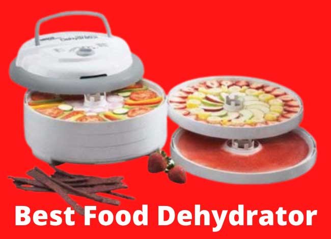 Best Food Dehydrator